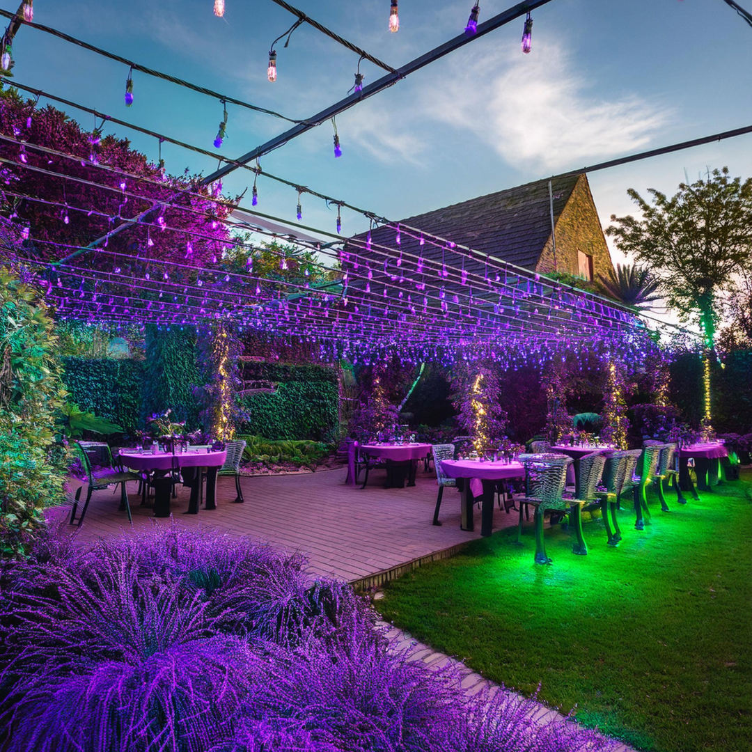 What can we learn from the Umbraco Codegarden 2024 talks?